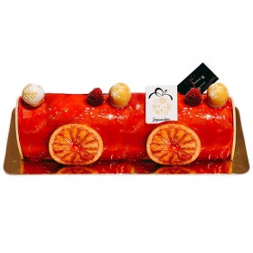 buche-sorbet-framboise-orange-sanguine-10personnes